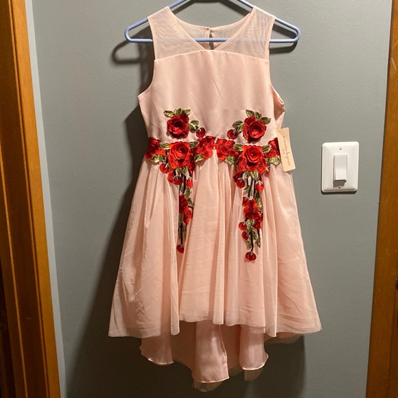 BRAND NEW GIRLS DRESS SIZE 14! NWT. SMOKE FREE HOME. - Picture 1 of 8